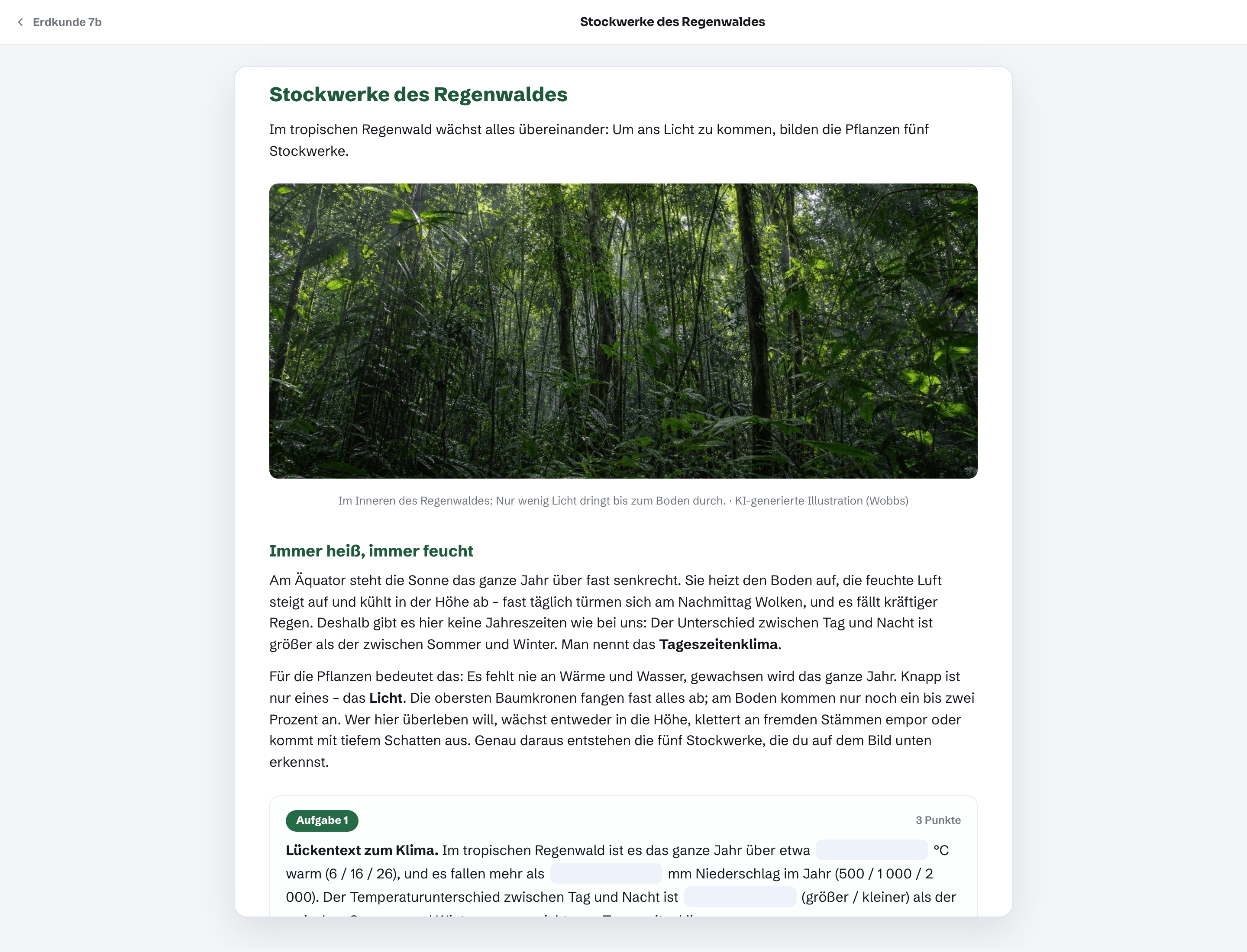 Schüleransicht des Materials „Stockwerke des Regenwaldes“: Foto aus dem Inneren eines Regenwaldes, darunter ein Lückentext zum Klima mit Eingabefeldern und Prüfen-Button